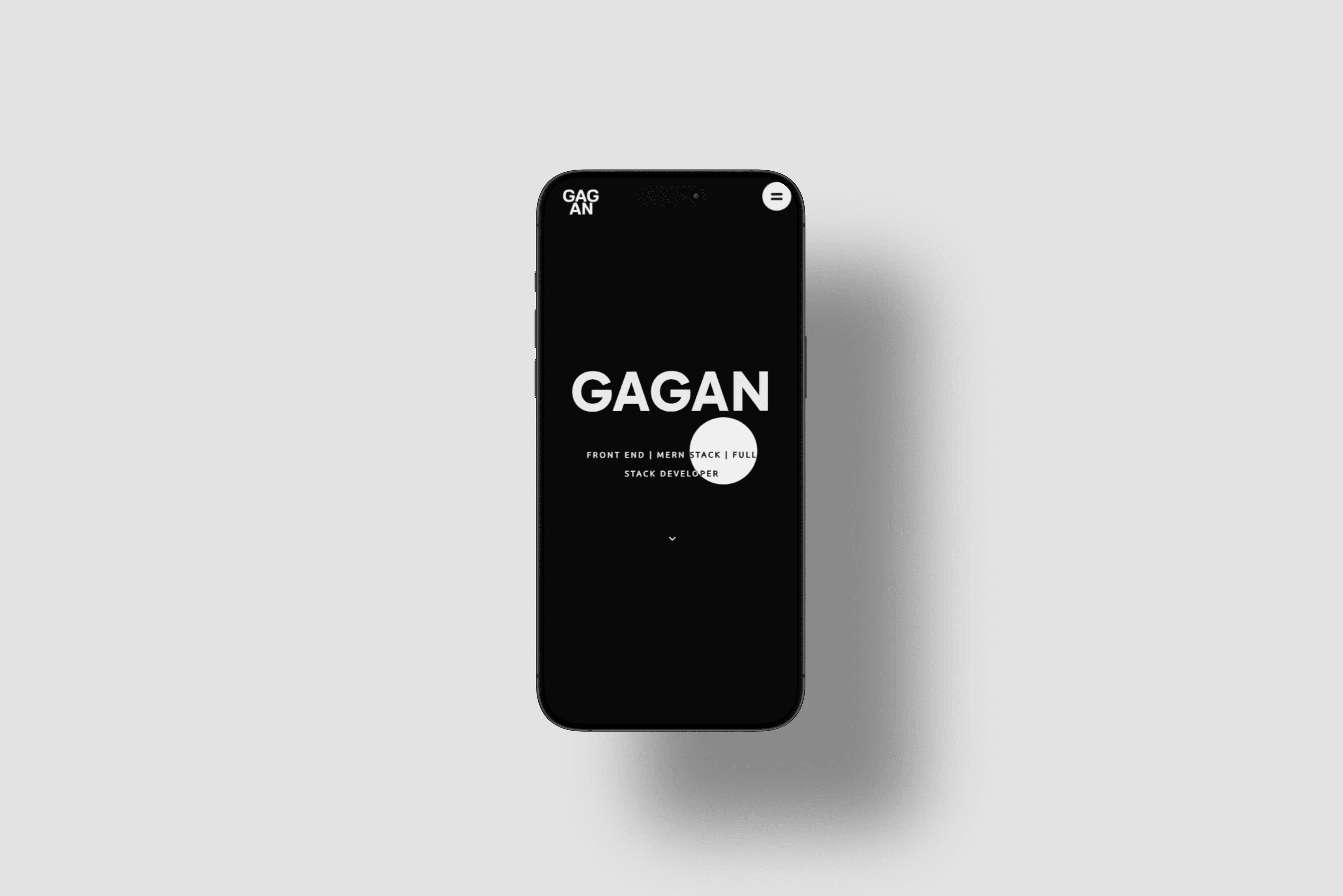 Portfolio V1 detail 1